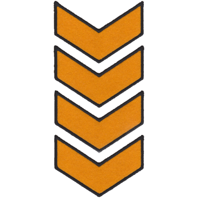 US Army Patches perfect for jacket and apparels ( 4x5 inche )