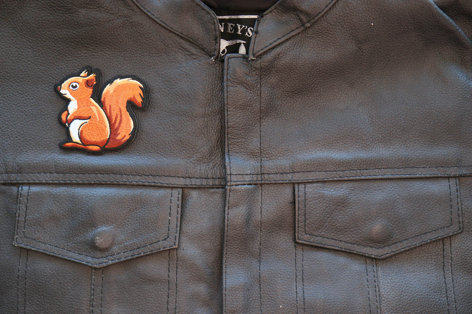 Cute Squirrel Embroidered Patch apparel application view