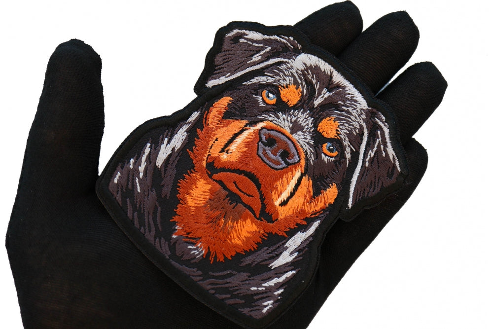 Power Rottweiler Embroidered Patch apparel application view