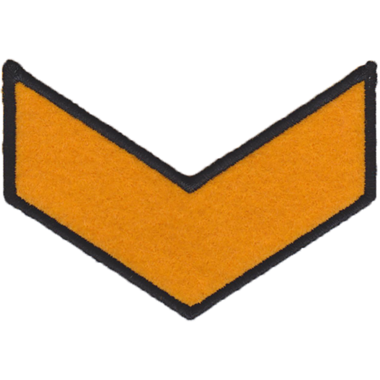 US Army Patches perfect for jacket and apparels ( 4x5 inche )