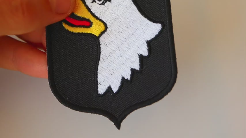 101st Airborne Division Embroidered Patch product video