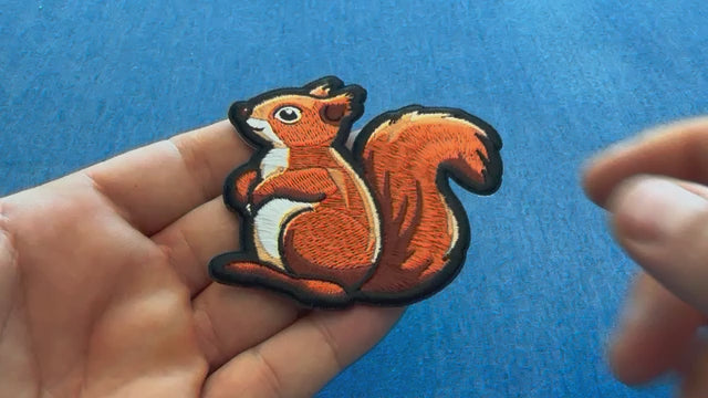 Cute Squirrel Embroidered Patch product video