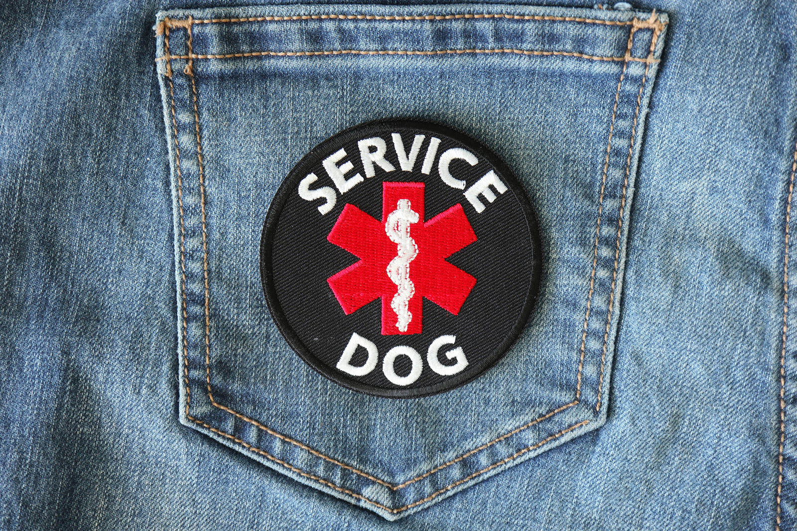 Service Dog Embroidered Patch apparel application view