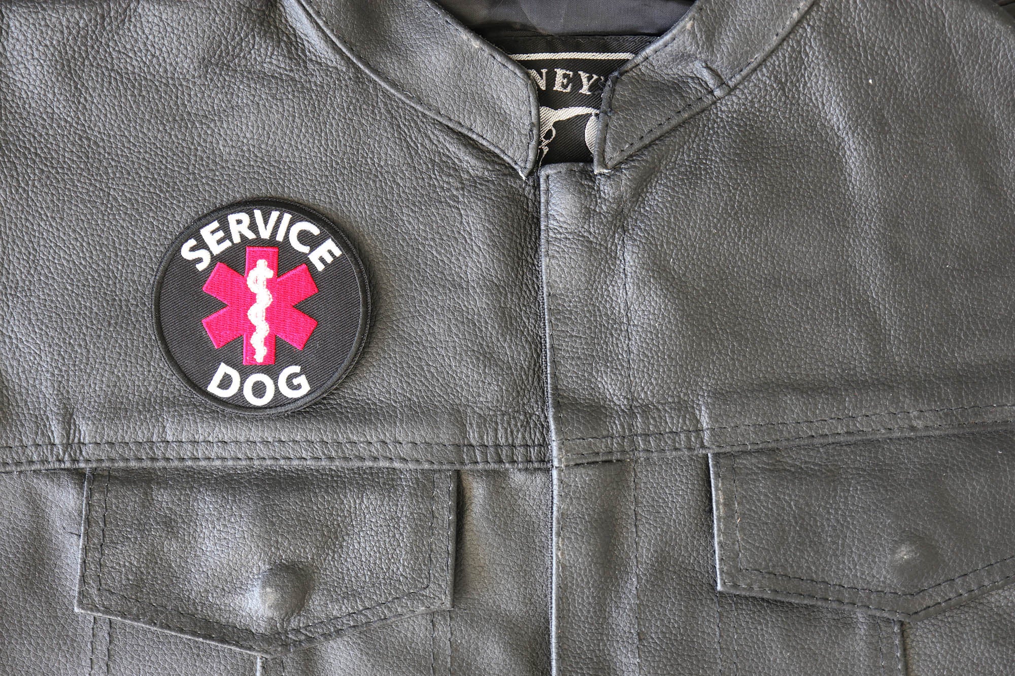 Service Dog Embroidery Patch – Text iron-on patch  ( 3  x 3 inches )